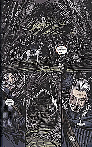 The Witcher: The Witch's Cry No. 3