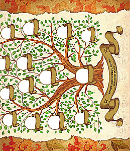 Genealogy Book. Family Tree