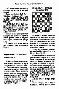 Chess. Theory and Practice of the Middlegame