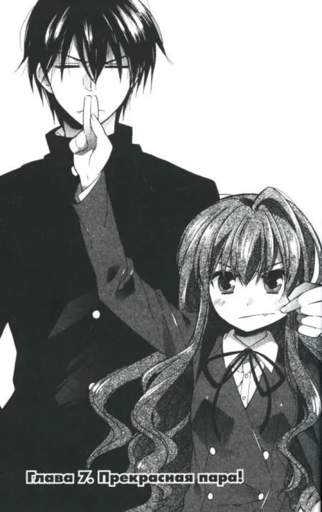 ToraDora. Tiger and Dragon. Volume 2