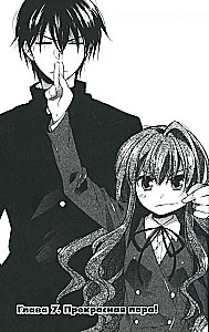 ToraDora. Tiger and Dragon. Volume 2