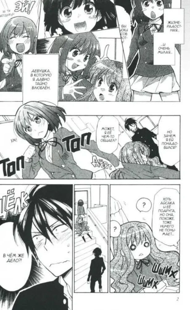 ToraDora. Tiger and Dragon. Volume 2