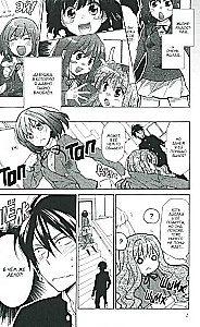 ToraDora. Tiger and Dragon. Volume 2