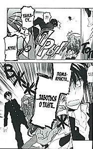 ToraDora. Tiger and Dragon. Volume 2