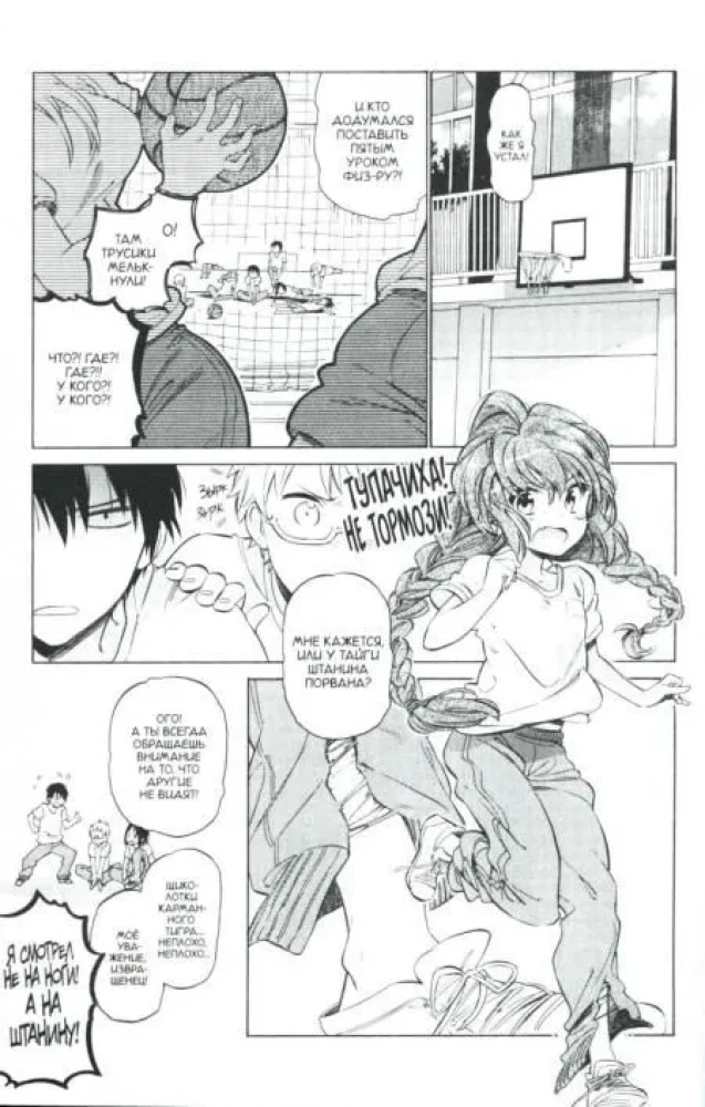 Toradora. Tiger und Drache. Band 6