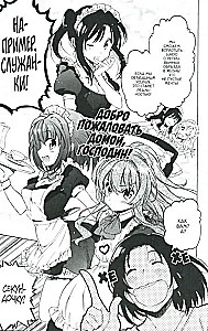 Toradora. Tiger und Drache. Band 6
