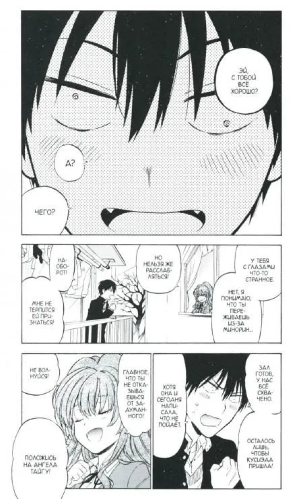 Toradora. Tiger and Dragon. Volume 9