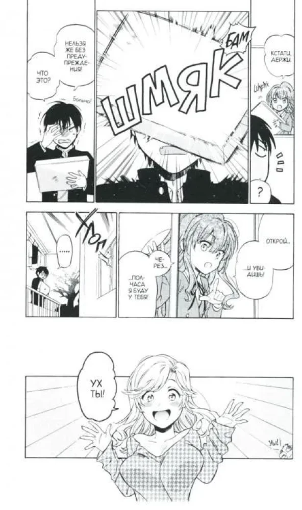 Toradora. Tiger and Dragon. Volume 9
