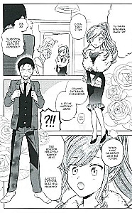 Toradora. Tiger and Dragon. Volume 9