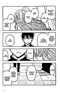 Toradora! Tiger und Drache. Band 11