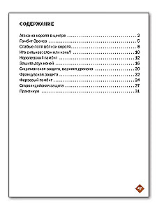 Chess School. Third Year of Study. Workbook