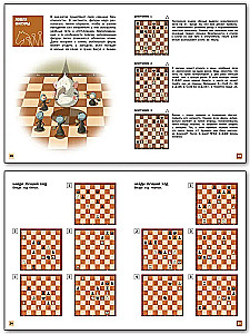 Chess School. Third Year of Study. Workbook