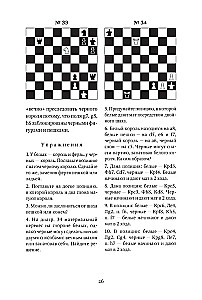 Buch für angehende Schachspieler