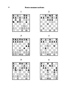 1001 glitzernder Weg, um Schach zu gewinnen