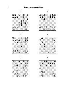 1001 glitzernder Weg, um Schach zu gewinnen