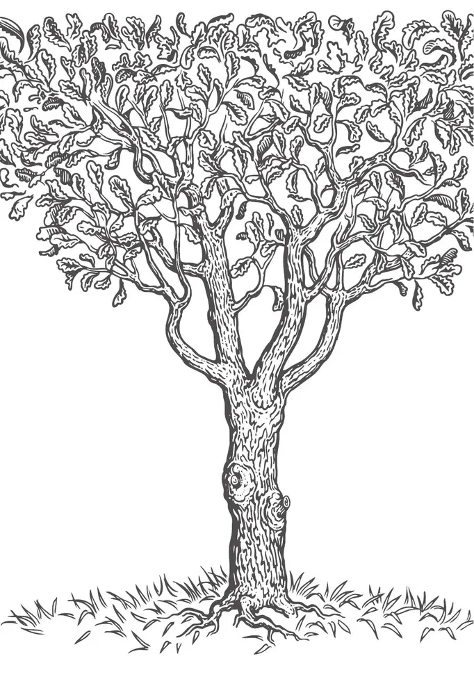 Secrets of Your Ancestry. How to Uncover the Mysteries of Seven Generations