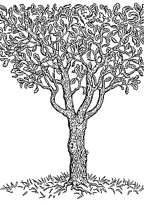 Secrets of Your Ancestry. How to Uncover the Mysteries of Seven Generations