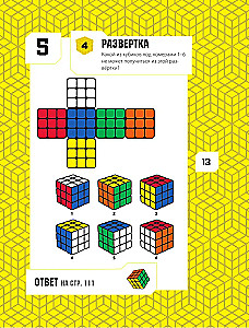 101 Best Logic Puzzle from Rubik