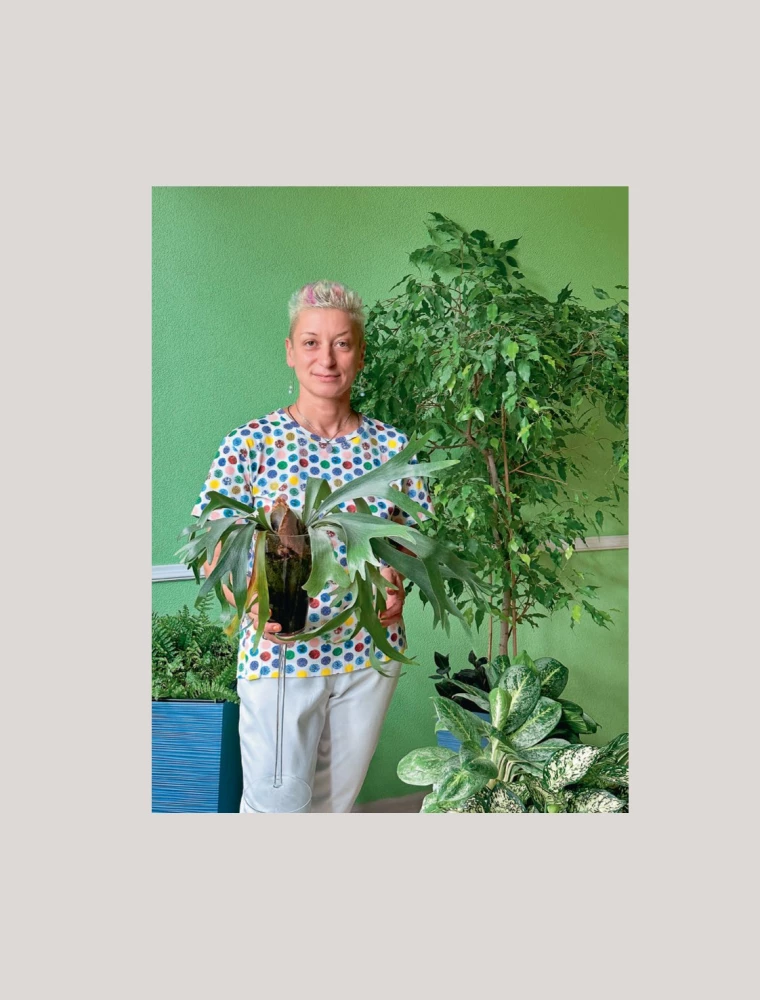 About Plants. How to Choose Indoor Plants for Your Style and Care for Them Without Stress