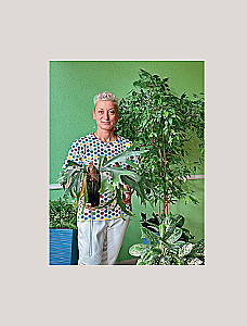 About Plants. How to Choose Indoor Plants for Your Style and Care for Them Without Stress