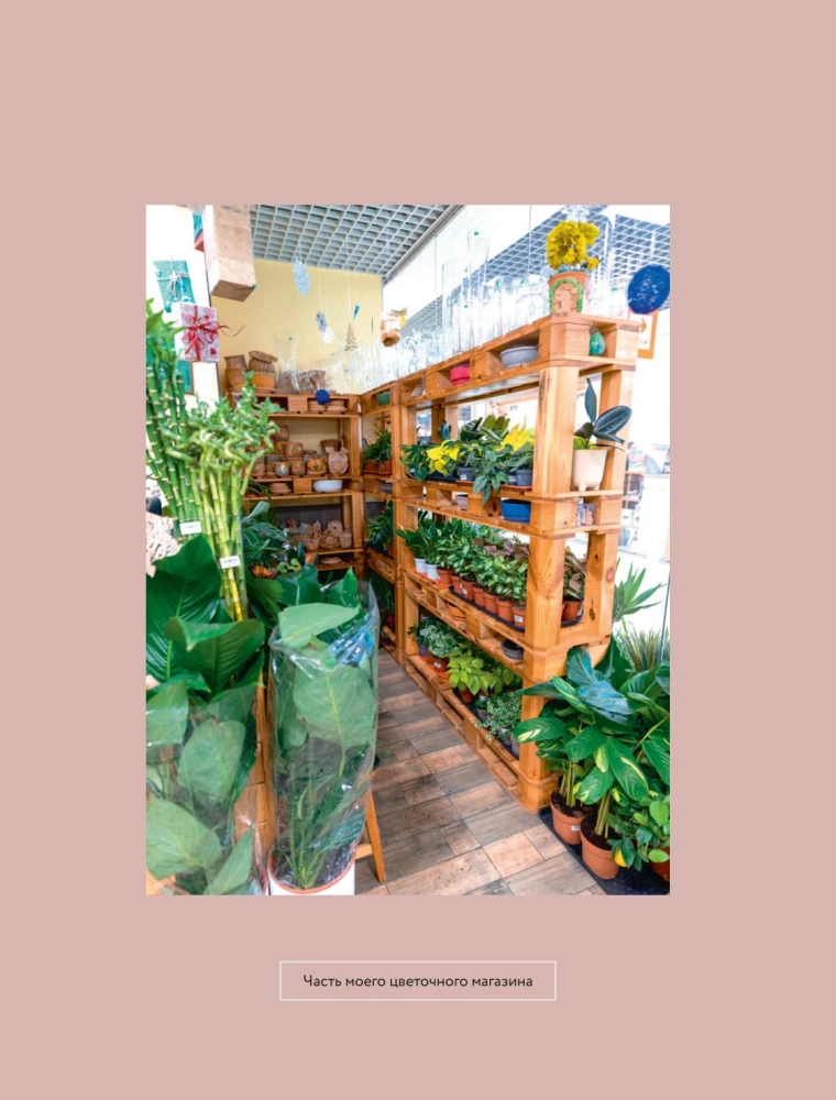 About Plants. How to Choose Indoor Plants for Your Style and Care for Them Without Stress