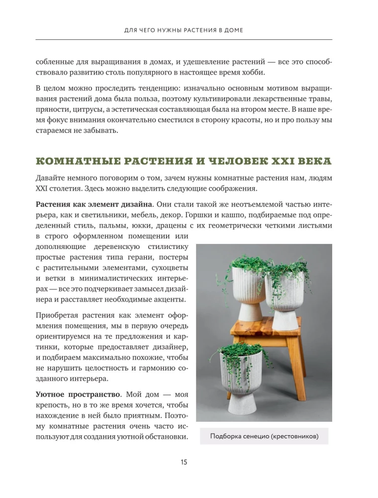 About Plants. How to Choose Indoor Plants for Your Style and Care for Them Without Stress