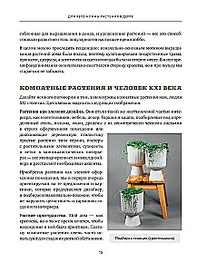 About Plants. How to Choose Indoor Plants for Your Style and Care for Them Without Stress