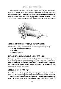 Vabalų zyzimas. Lauko ir ne tik ornitologo dienoraščiai