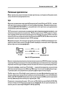 Kali Linux. Die Bibel des Pentesters