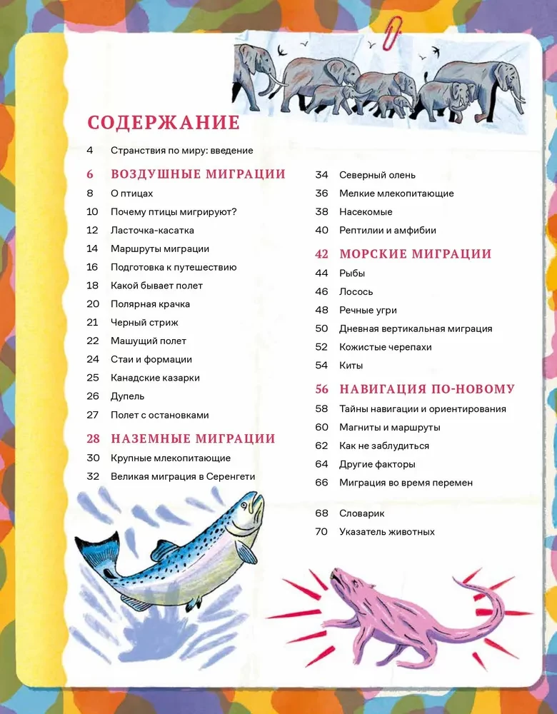 Neticami dzīvnieku ceļojumi. Navigācija un migrācija pa gaisu, zemi un jūru