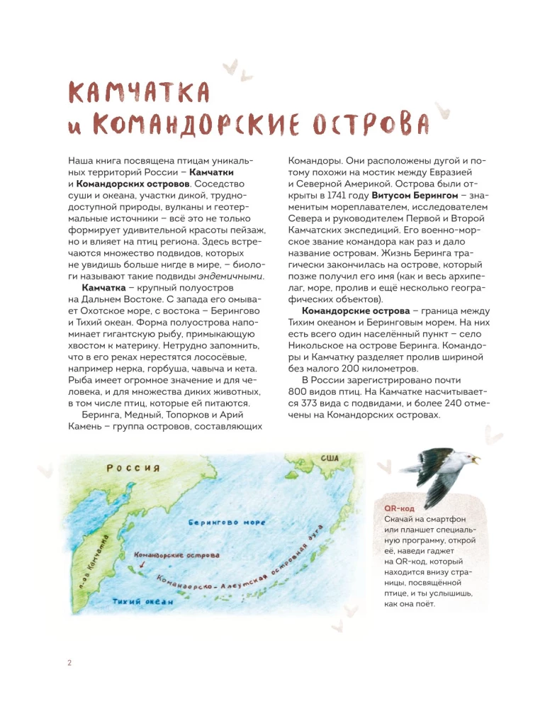 Ptaki Kamczatki i Wysp Komandorskich. Gdzie znaleźć i jak rozpoznać