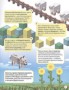 Minecraft Earth. Unverzichtlicher Reiseführer durch die Welt