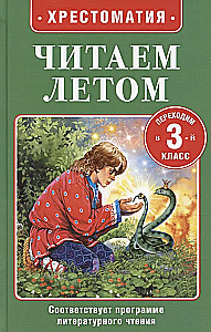 Reading in the Summer. Transitioning to 3rd Grade
