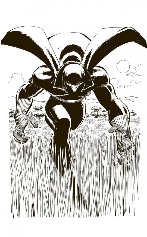 Black Panther: Who is he?