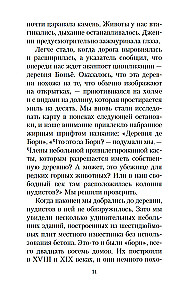 Мои двадцать пять лет в Провансе