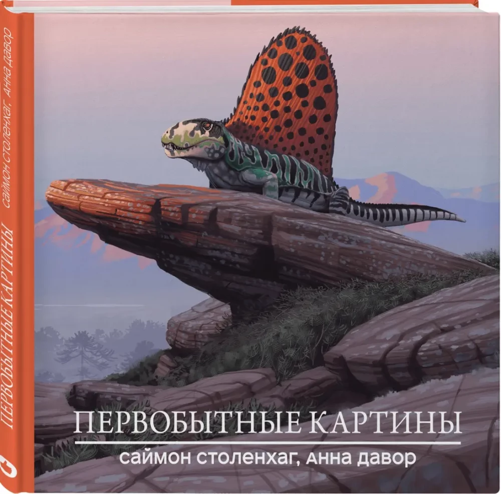 Primordial Pictures