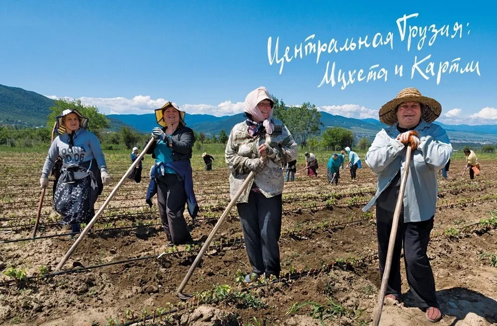 Грузия. Люди. Горы. Виноград