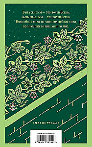 Der geheimnisvolle Garten