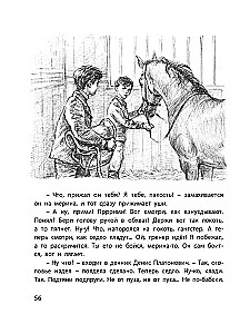 Самый красивый конь