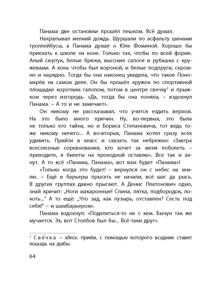 Самый красивый конь