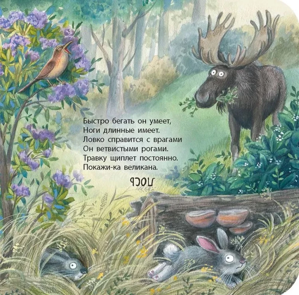 Wald Rate-Spiel