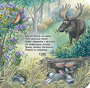 Wald Rate-Spiel