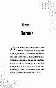 Reise in Minecraft. Buch 9. Der Fall des nächtlichen Diebstahls