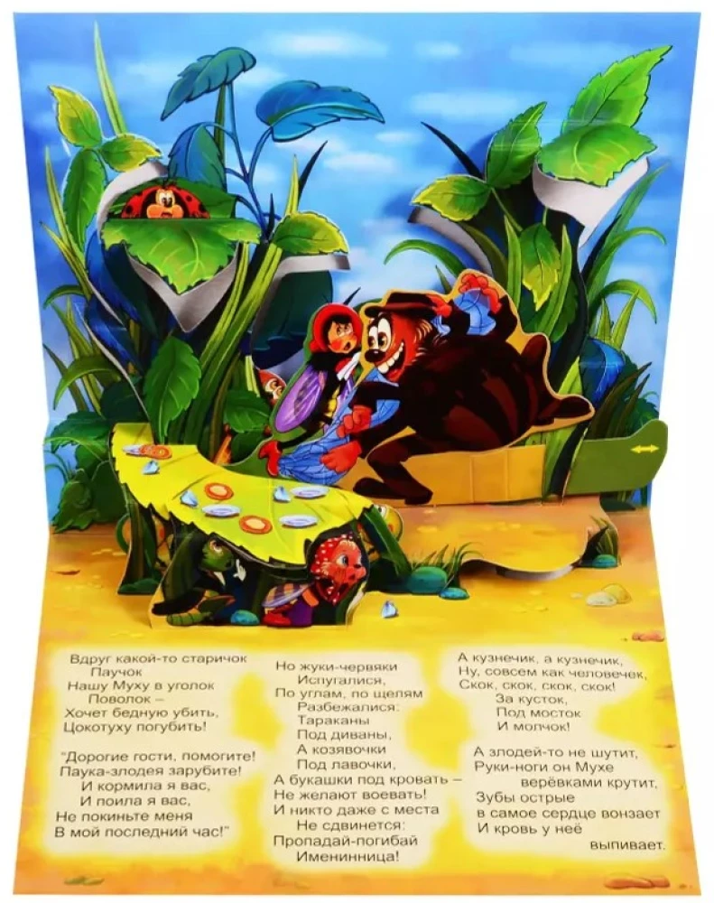 Panorama Book - Fly-Tsokotukha