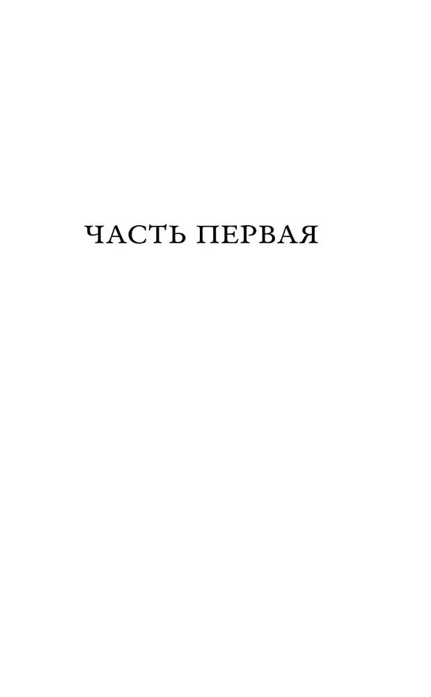 Dostoevsky's Bells. Notes of a Mad Literary Scholar
