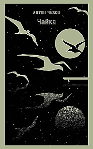The Seagull