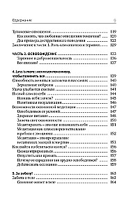 Detox des inneren Ichs. Wie man sich von Selbsttoxizität befreit und frei wird