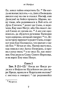 Gospel with readings in the Synodal translation