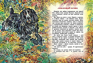 Большая книга рассказов