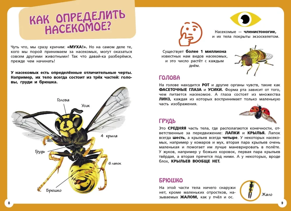 Najbardziej niezwykłe zwierzęta i miejsca na świecie